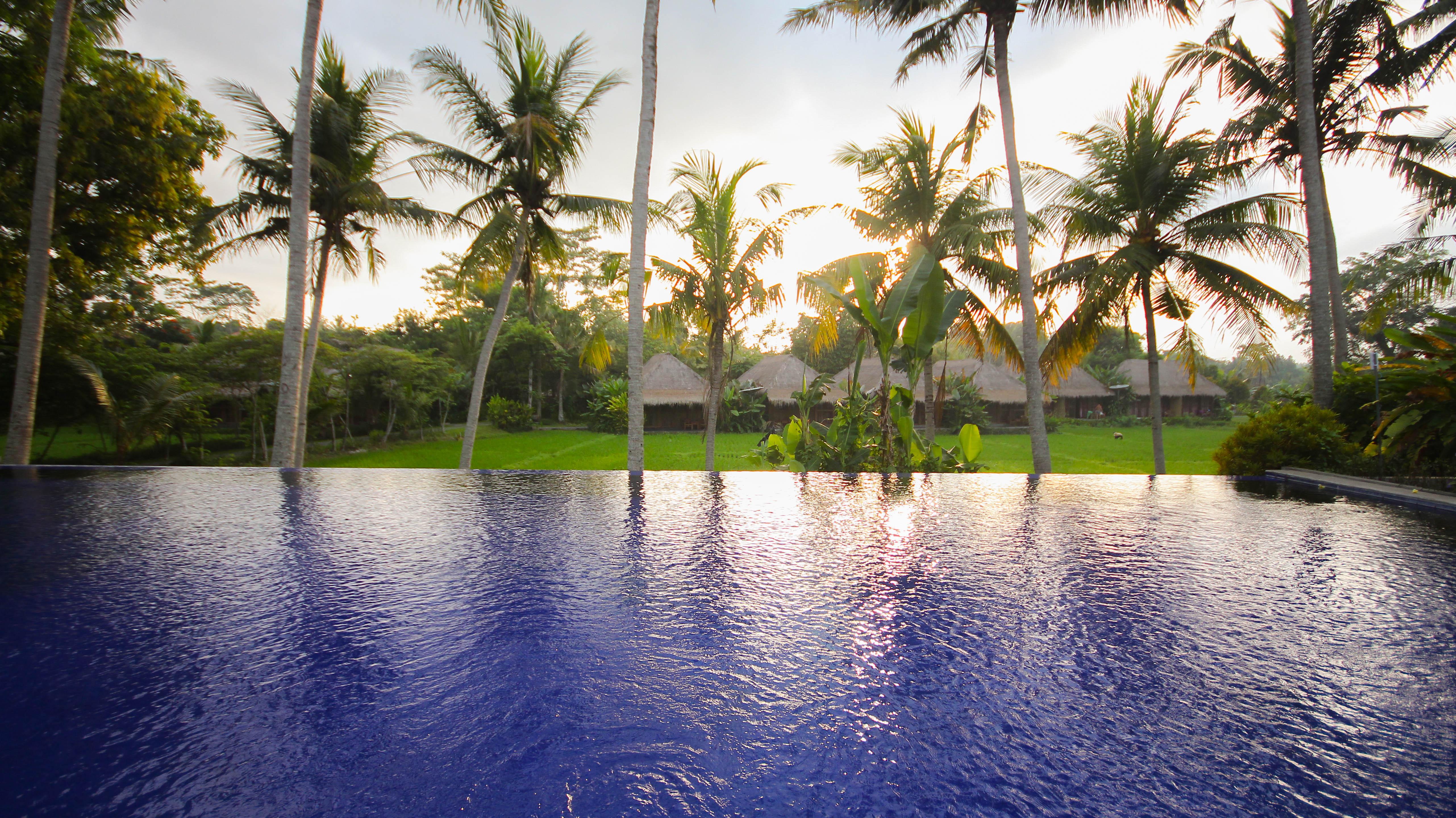 Serenity House Ubud Bali Gasthof 2*