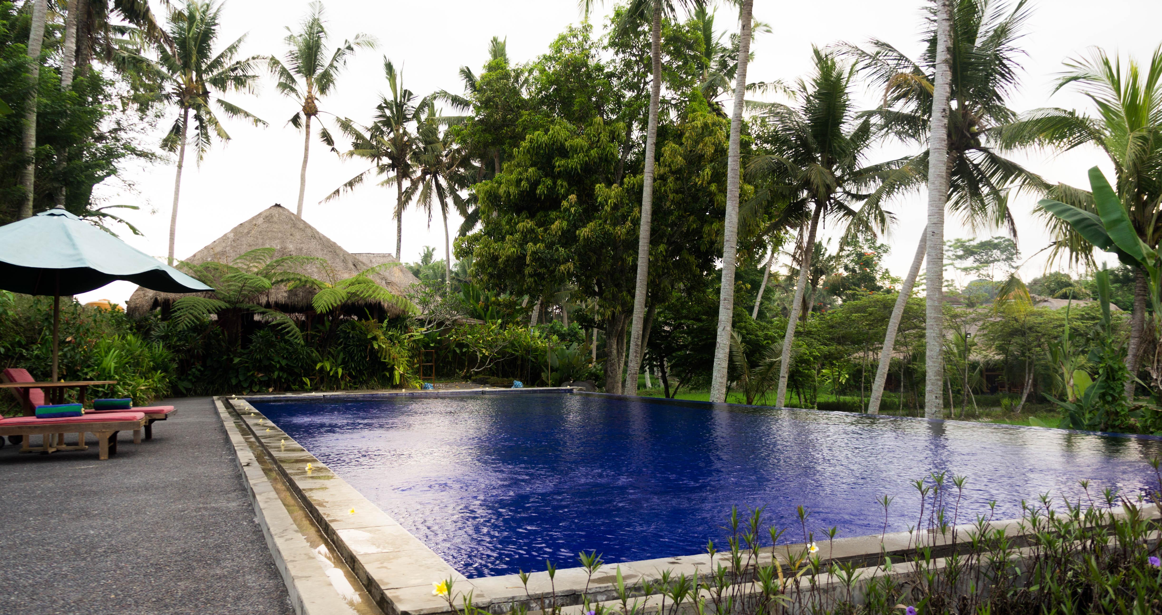 Gasthof Serenity House Ubud Bali Ubud