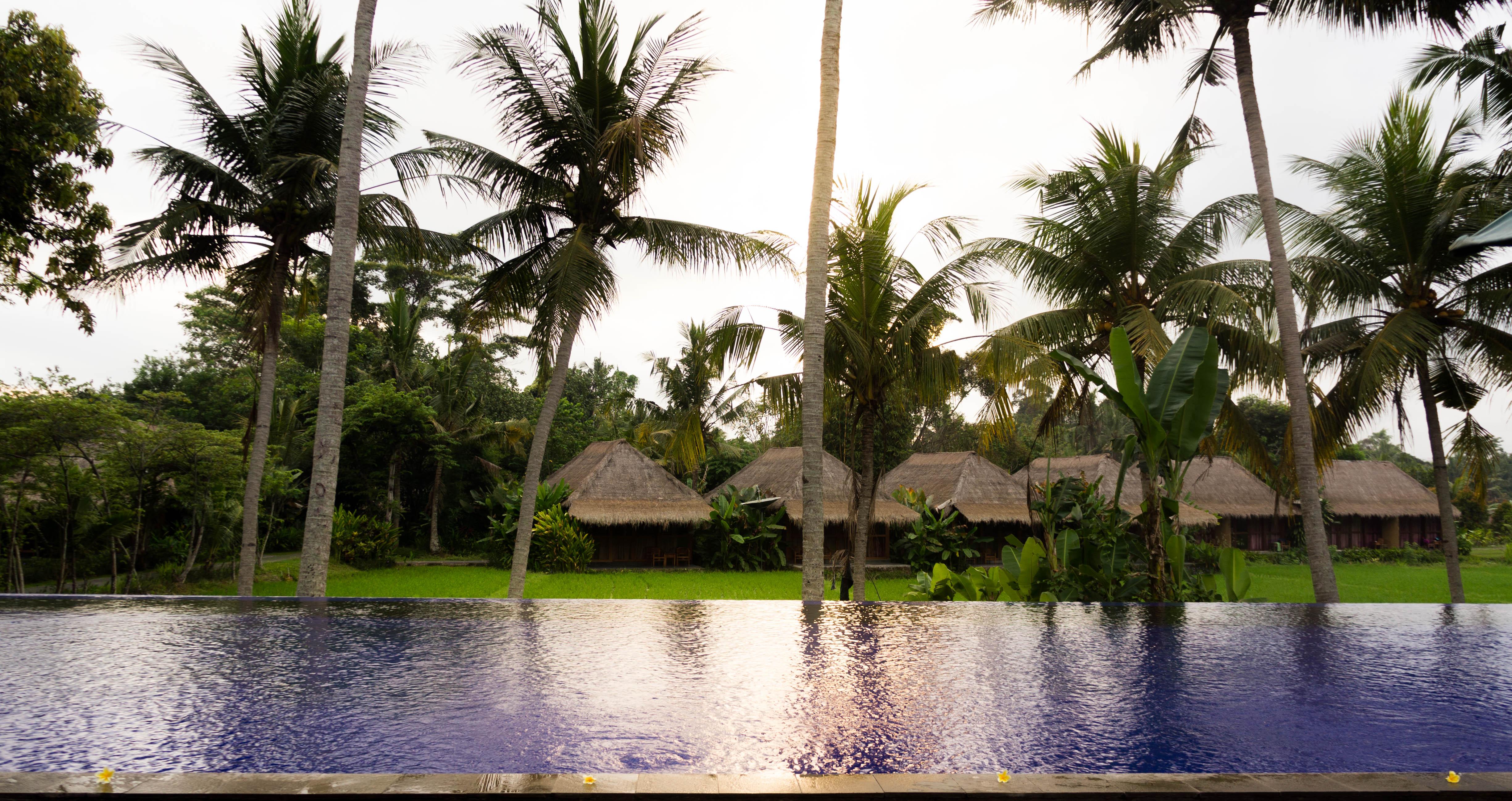 Serenity House Ubud Bali 2*