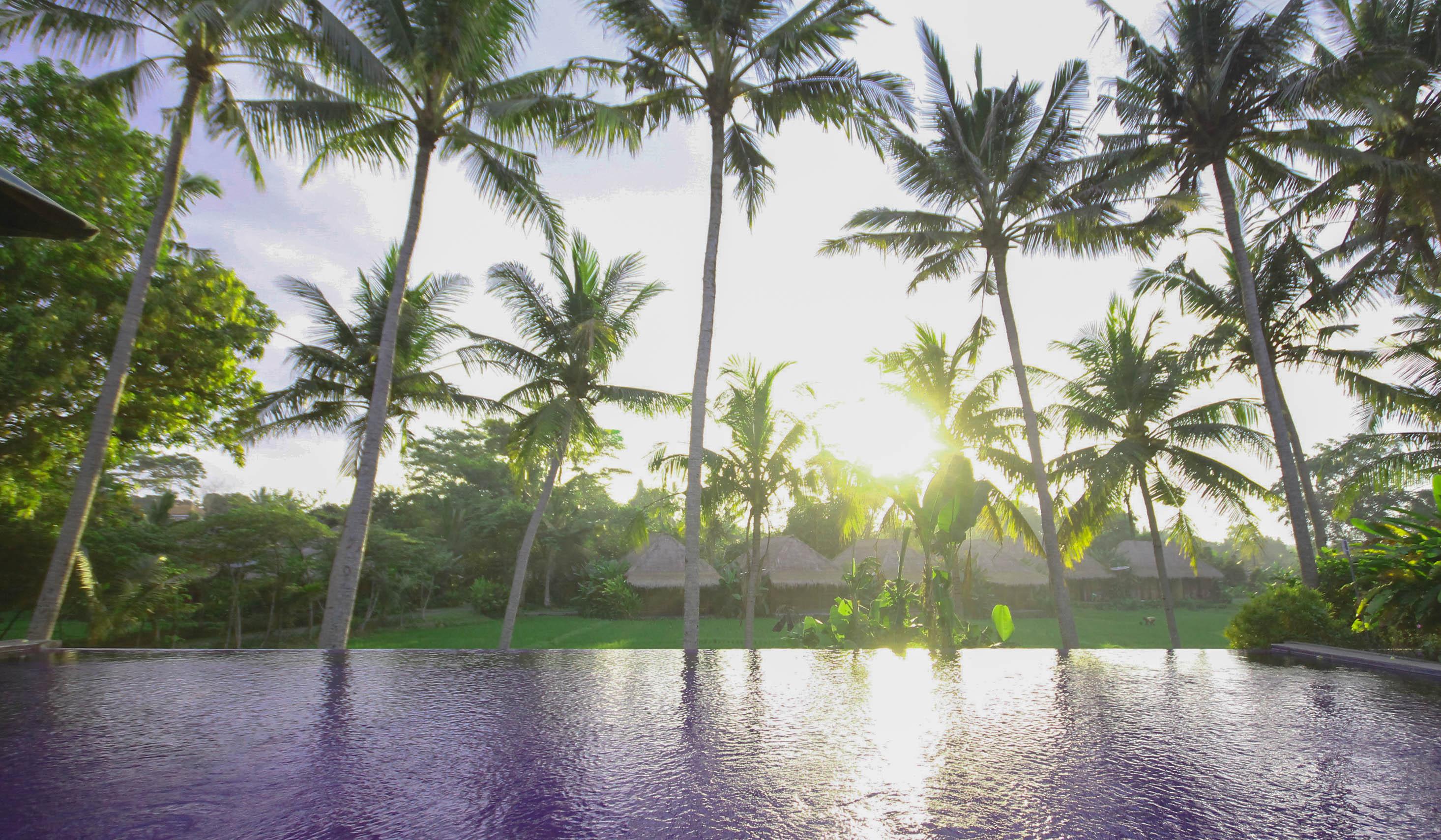 Serenity House Ubud Bali Gasthof