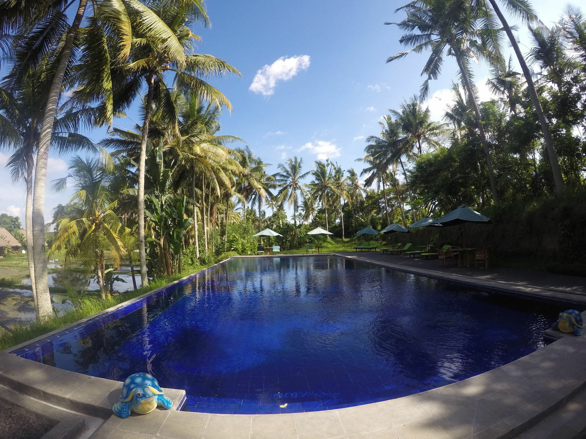 Serenity House Ubud Bali 2* Ubud